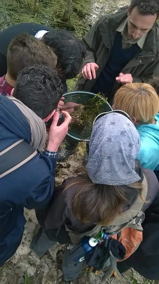 Laghetto di Montieri: biotopo meritevole!